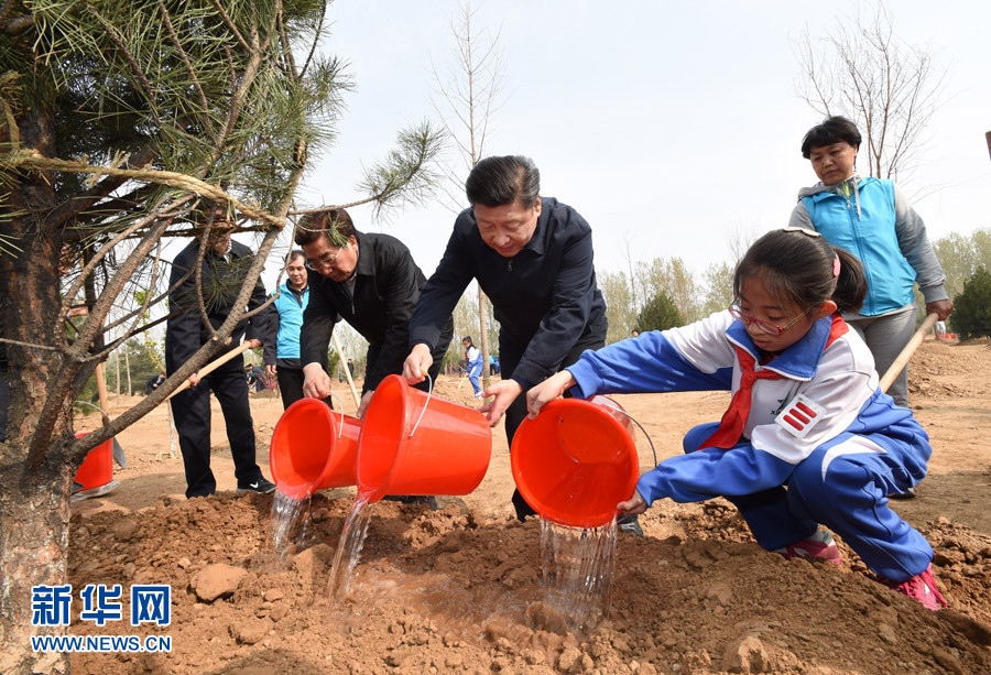 这是习近平同大家一起给刚栽下的树苗浇水。 新华社记者 李学仁 摄