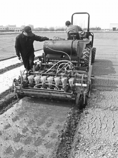 宁夏研制成功西芹种植多功能一体机