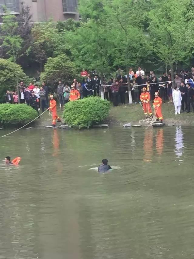 男孩为完成观察蝌蚪作业落水 爸爸下河救他溺亡