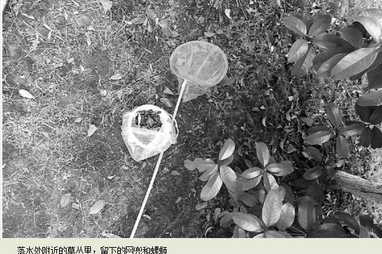 男孩为完成观察蝌蚪作业落水 爸爸下河救他溺亡