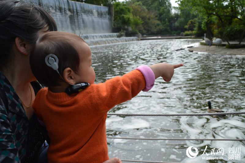 32名听障儿童参观成都动物园 学习辨识声音
