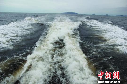 广东惠州海域发生最大规模赤潮水质未受影响