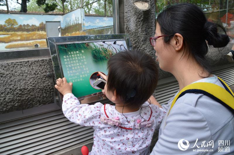 怎么不翻墙登谷歌