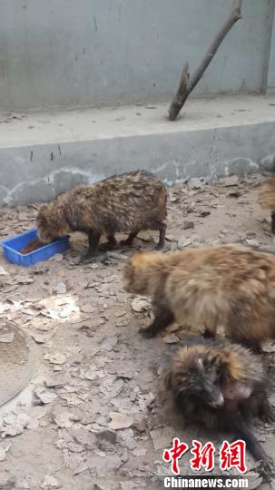 探访野外放生产业链：以&ldquo;放生行善&rdquo;为名倒卖动物牟利