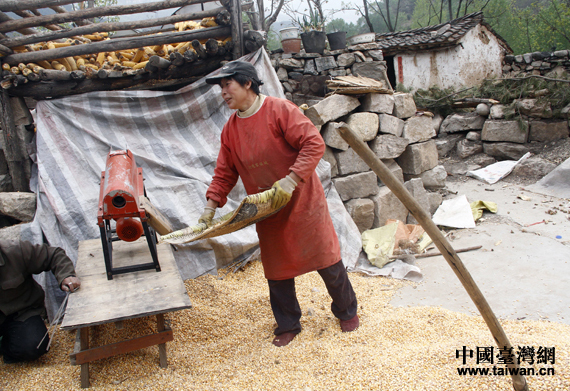 骆驼湾村村民郑秀英。