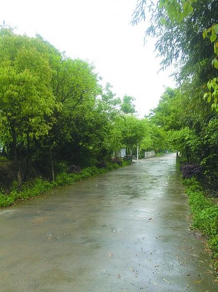 浙江40人群殴事件续:少年犯下小镇近30%案件