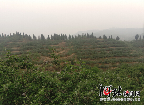 【網絡媒體走轉改】追記李保國教授：心之所在 魂歸太行