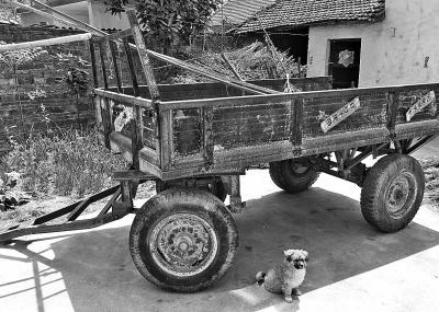 残疾人被炸瞎8万赔偿未到手 意外肇事背债12万