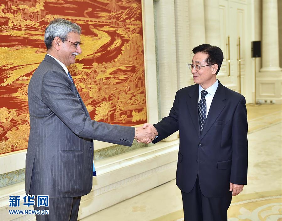 （XHDW）赵洪祝会见印度中央监察委员会主席 