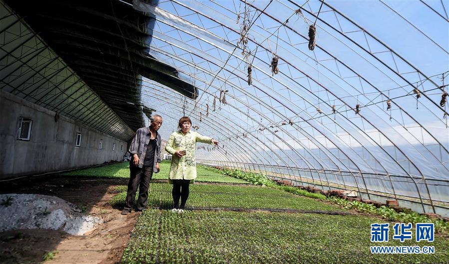 (图片故事)(2)长春“辣椒姐姐”返乡创业“闯韩记”