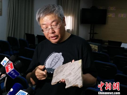 中国发现最古老大型多细胞生物化石群距今15.6亿年