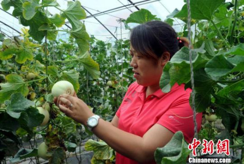 科技部：科技特派员下农村保留5年编制优先晋升