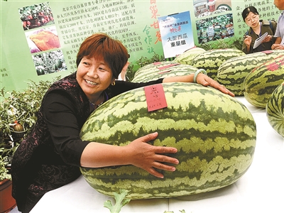本报讯(记者 张小妹)昨天上午,大兴区庞各庄镇锣鼓喧天,第28届北京大兴西瓜节全国西甜瓜擂台赛开赛,来自瓜农李凤春培育的将近160斤的西瓜一举夺得“瓜王”称号。