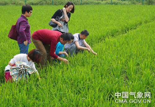 【联合访谈】农气专家解析2016年三夏气象条