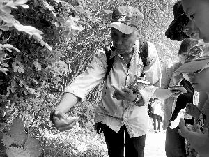 植物專家舒志剛正在教孩子們認識蝎子草。由于手掌沒有毛孔，可以用手掌觸摸蝎子草；手背毛囊豐富，一旦碰到，就有被蝎子蜇的疼痛感。北京晨報記者 史春陽/攝