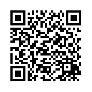 文玩堂：胡桃（曹大龙）高端小众稀少 文玩堂：胡桃（曹大龙）高端小众稀少 - メルカリ