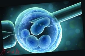 高龄妈妈通过解冻冻存胚胎怀孕 胎儿与11岁儿“同龄”