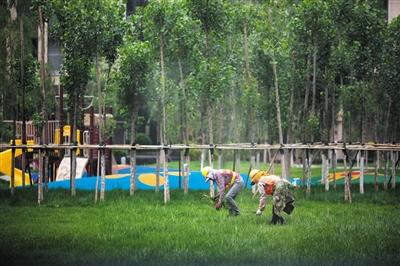 海港城小区内工人正在清除绿地内的杂草。