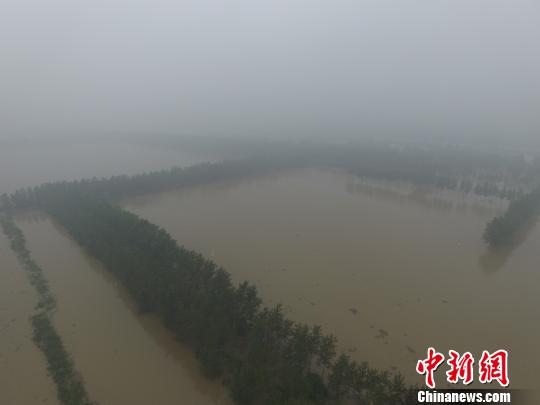 探访南京被淹&ldquo;小岛&rdquo;：100多万斤小麦6000只鸡被淹