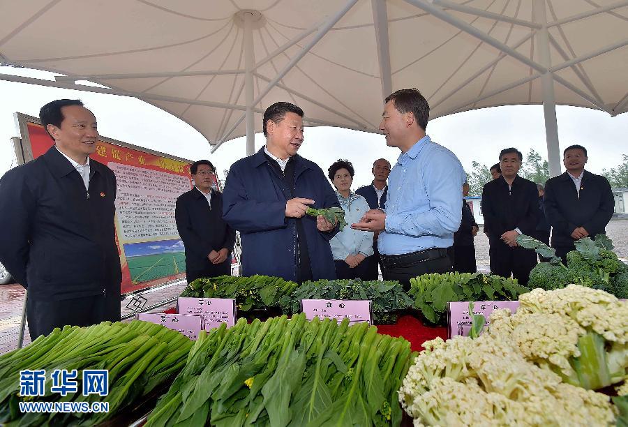 7月18日至20日,中共中央总书记、国家主席、中央军委主席习近平在宁夏调研考察。这是7月18日下午,习近平在固原市原州区彭堡镇姚磨村了解冷凉蔬菜种植销售情况。新华社记者李涛摄
7月18日至20日,中共中央总书记、国家主席、中央军委主席习近平在宁夏调研考察。这是7月18日下午,习近平在固原市原州区彭堡镇姚磨村了解冷凉蔬菜种植销售情况。新华社记者李涛摄