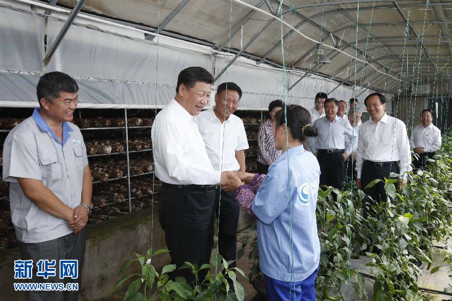 7月18日至20日,中共中央总书记、国家主席、中央军委主席习近平在宁夏调研考察。这是7月19日上午,习近平在银川市永宁县闽宁镇原隆移民村考察蔬菜香菇种植大棚。新华社记者鞠鹏摄
7月18日至20日,中共中央总书记、国家主席、中央军委主席习近平在宁夏调研考察。这是7月19日上午,习近平在银川市永宁县闽宁镇原隆移民村考察蔬菜香菇种植大棚。新华社记者鞠鹏摄