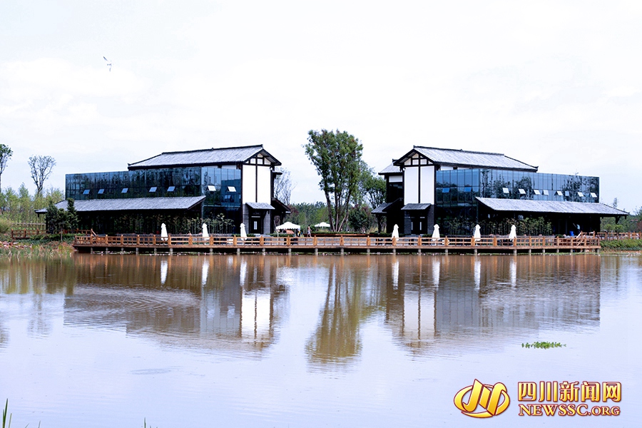 成都白鹭湾湿地