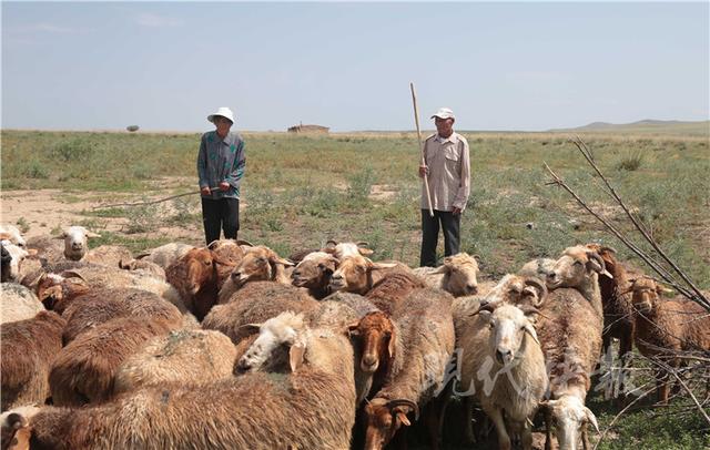 七旬老人无人区守边52年 突然成&ldquo;网红&rdquo;