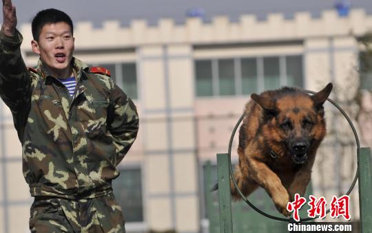 武警山东总队临沂支队上士张楠：用生命保卫使馆安全