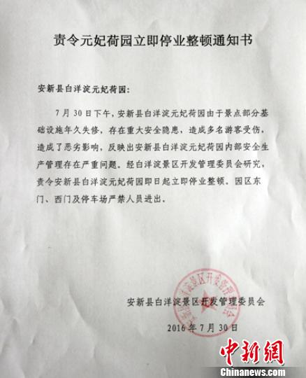 安新县白洋淀景区开发管理委员会于7月30日下发的《责令元妃荷园立即停业整顿通知书》。 于俊亮 摄