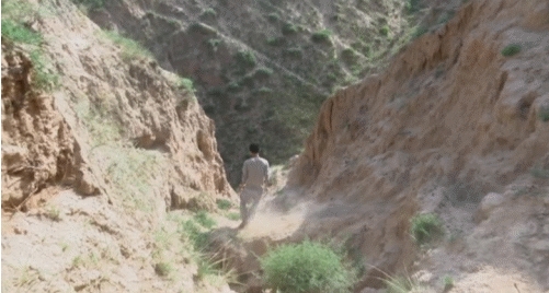 去往家中的旱地，需要经过一道二十米深的山沟，对于王勇来说，却是如履平地。