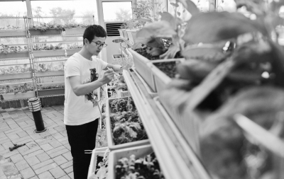 智能菜园搬进百姓家中