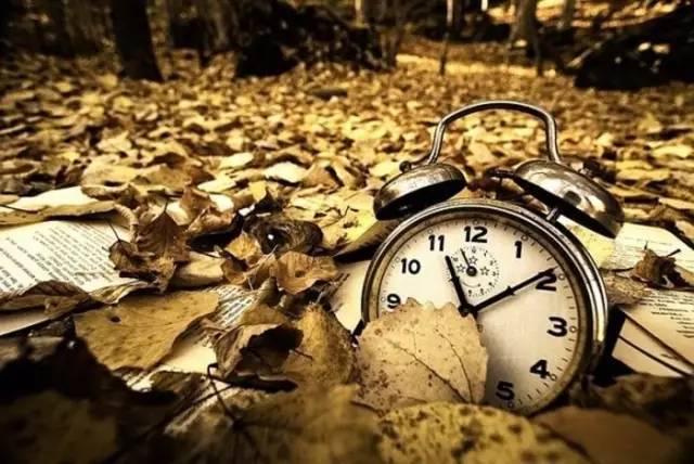 时间管理__ 29岁女性工作生活平衡 