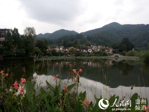 【网络媒体走转改】贵州湄潭:茶旅结合把绿水