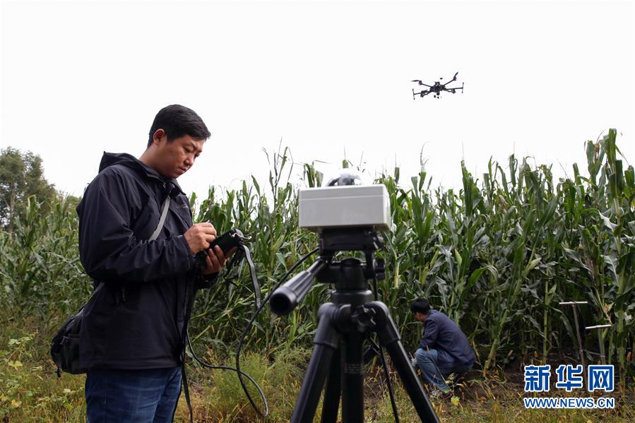 中国农业科学院智慧农业大数据平台将为农民提