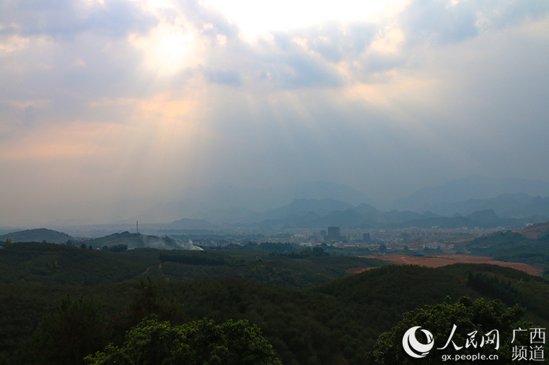 大仁村農業示范區鳥瞰灌陽縣城