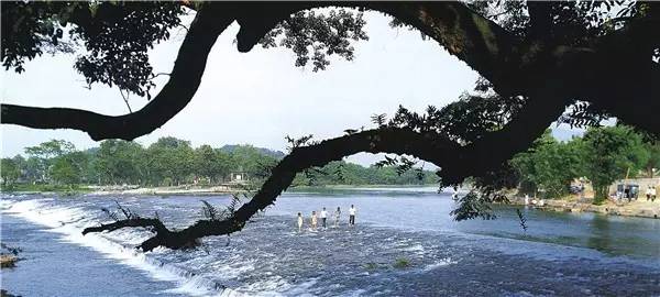 国庆去哪儿？走过这条路的广西人，恐怕你会哭！