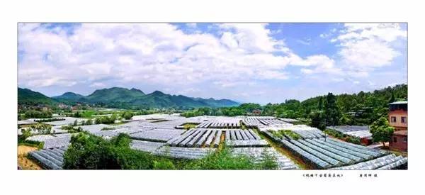 国庆去哪儿？走过这条路的广西人，恐怕你会哭！