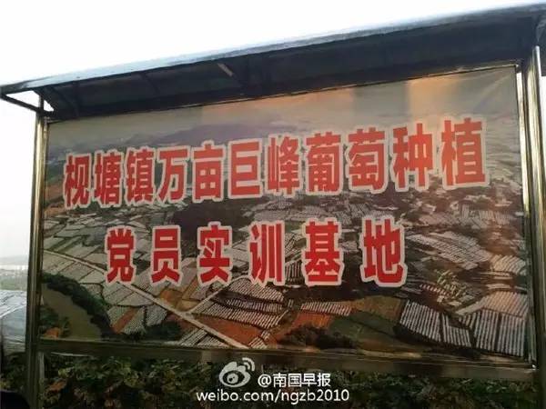 国庆去哪儿？走过这条路的广西人，恐怕你会哭！