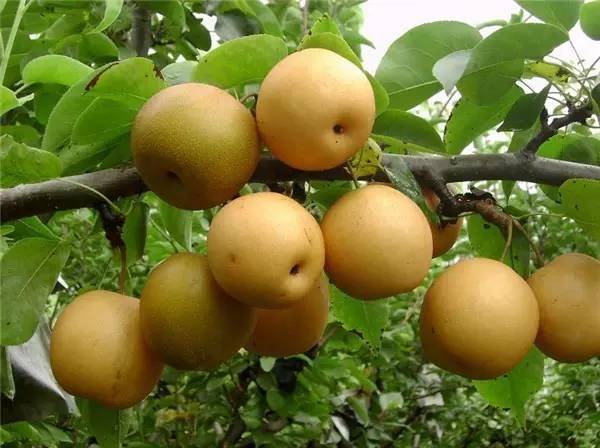 国庆去哪儿？走过这条路的广西人，恐怕你会哭！