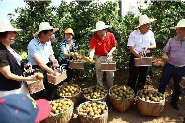 国庆去哪儿？走过这条路的广西人，恐怕你会哭！