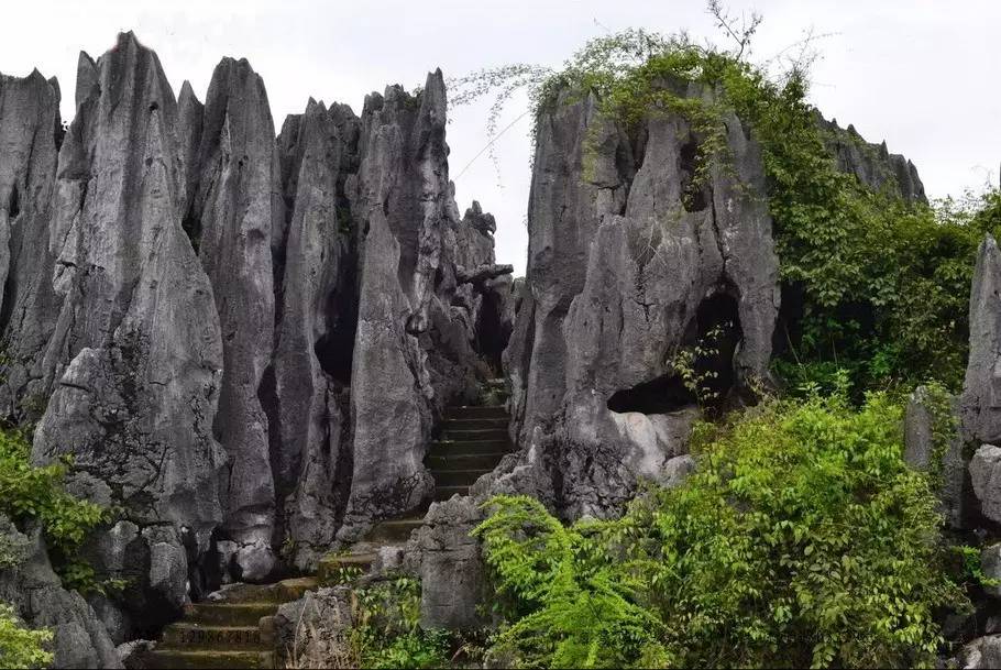 国庆去哪儿？走过这条路的广西人，恐怕你会哭！