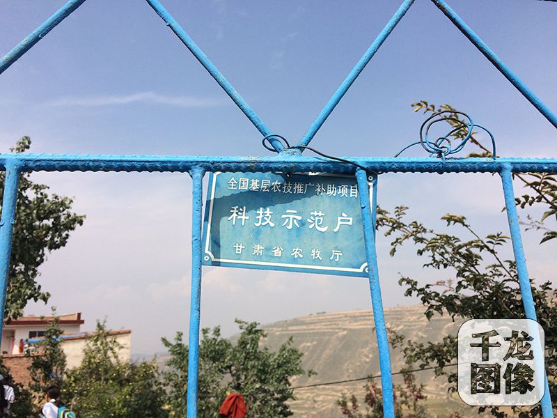 兰州沈家岭村朱应平一家,从贫困农民变成了“全国基层农技推广补助项目科技示范户”。千龙网记者 马文娟 摄