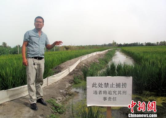 小龙虾在塔河上游规模养殖繁育实现亩千斤稻百公斤虾