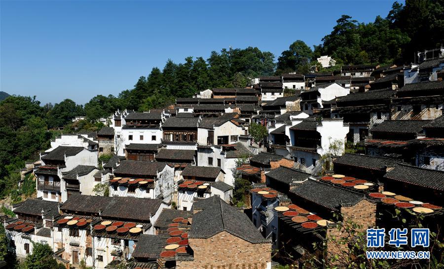 #（秋季美丽生态）（1）江西婺源：山村晒秋图