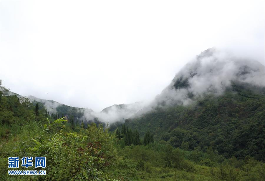 （图文互动&middot;长征胜利80周年）（1）鲜为人知的开拓：红军翻雪山前的两处艰难行军