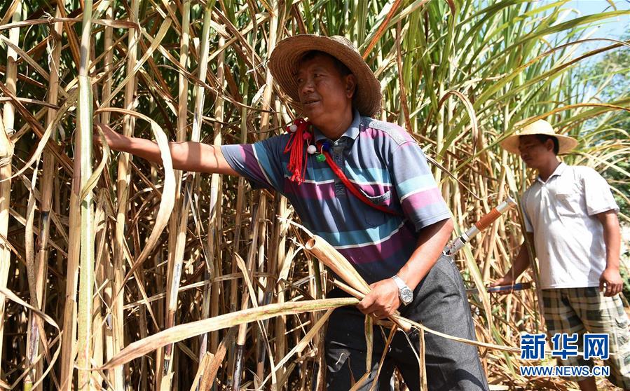 （扶贫攻坚）（4）云南：景颇族村民生活的变迁