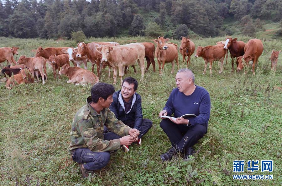 （社会）（2）扶贫干部王维德：群众利益无小事