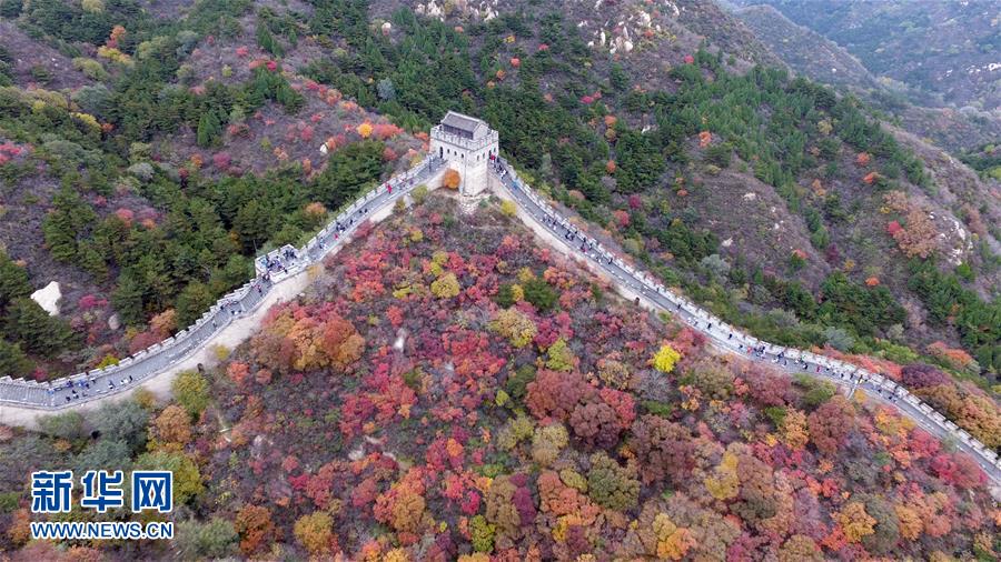 （秋季美丽生态）（1）长城内外 红叶生辉