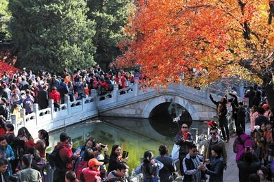 北京香山红叶率已达60% 进入最佳观赏期