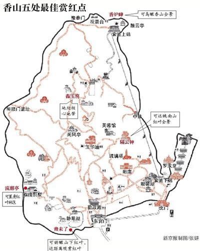 北京香山红叶率已达60% 进入最佳观赏期